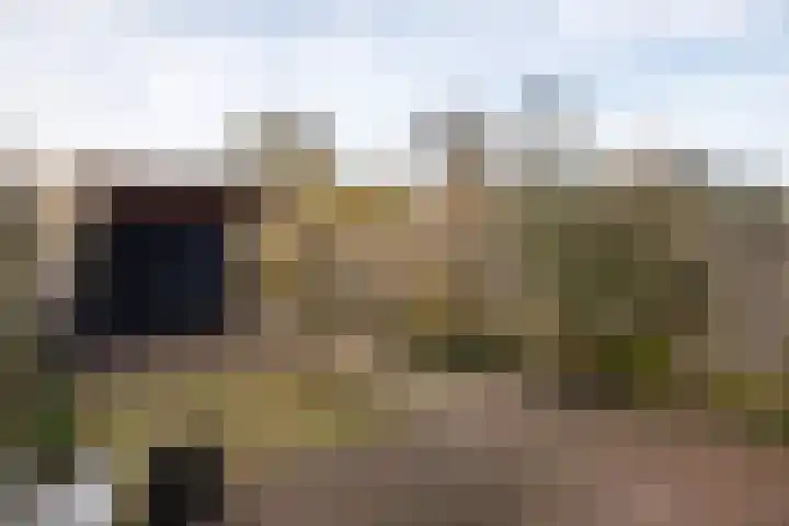 Westkade 107 Huizen thumbnail 14