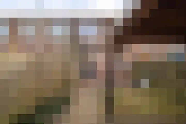 Westkade 107 Huizen thumbnail 16