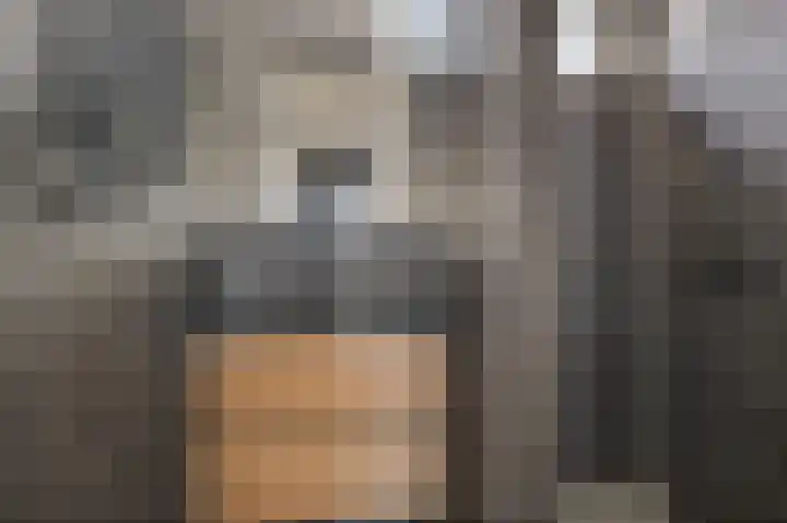 Westkade 107 Huizen thumbnail 30