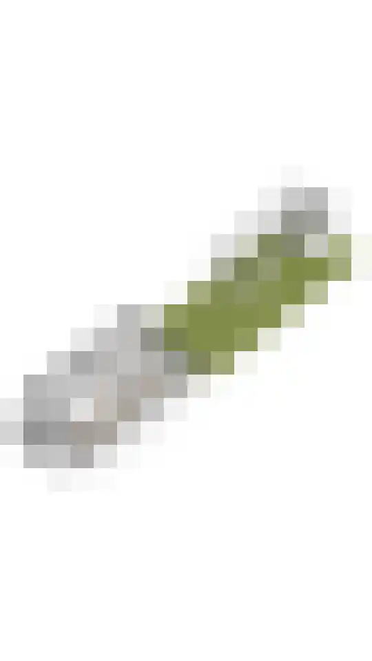 Westkade 107 Huizen thumbnail 37