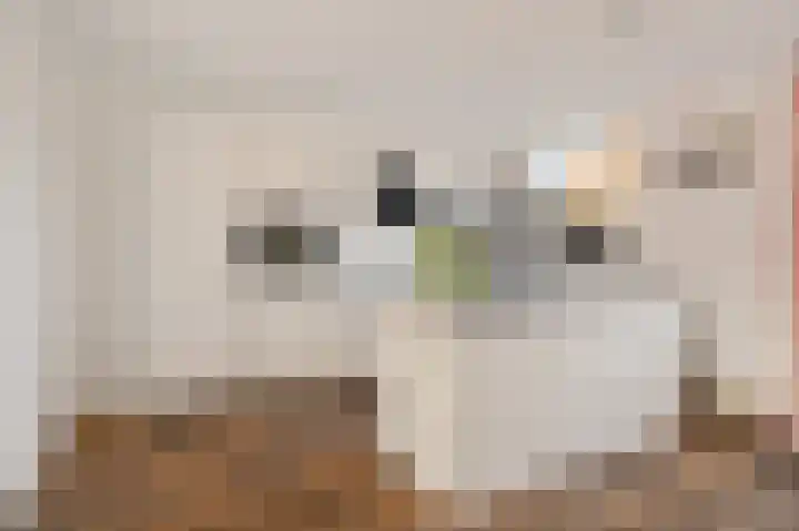Westkade 107 Huizen thumbnail 9