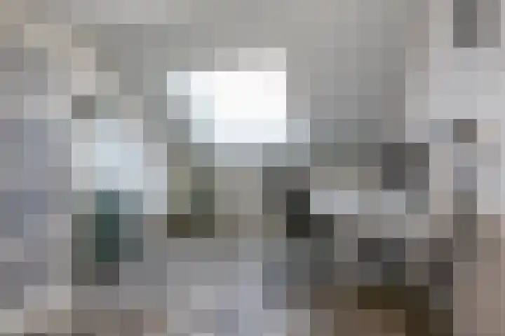 Westland 31 Purmerend thumbnail 43