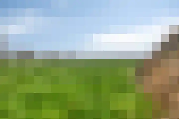 Westlangeweg 5 Hoofdplaat thumbnail 6