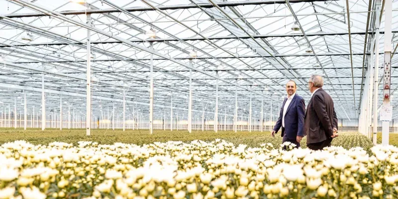 Bürofoto von Westmaas Makelaardij B.V.