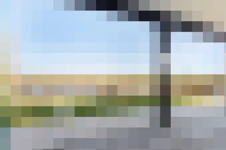 Westmeep 61 Harlingen thumbnail 10
