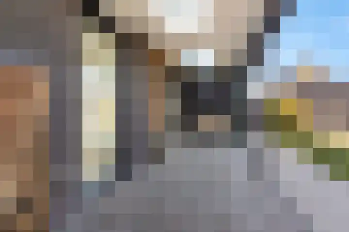 Westmeep 61 Harlingen thumbnail 47