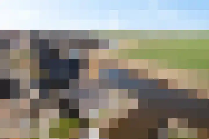 Westmeep 61 Harlingen thumbnail 58
