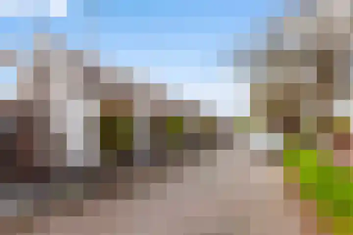 Westmolendijk 75 Ridderkerk thumbnail 46