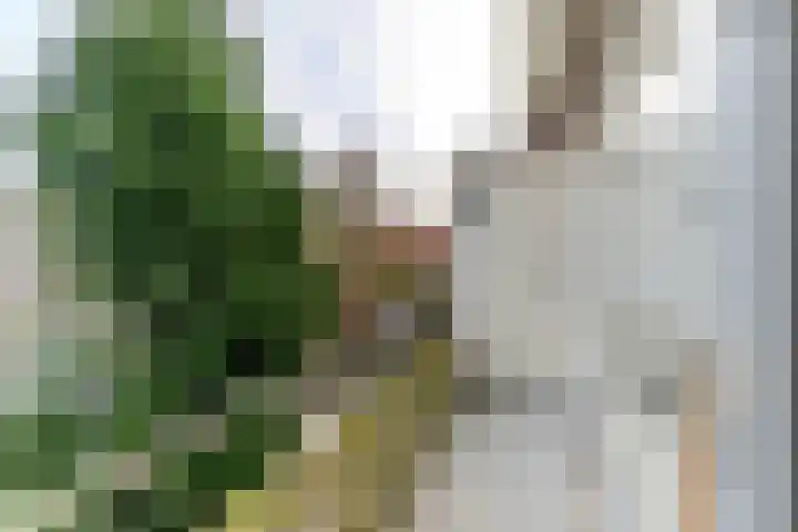 Westplantsoen 88 Delft thumbnail 28