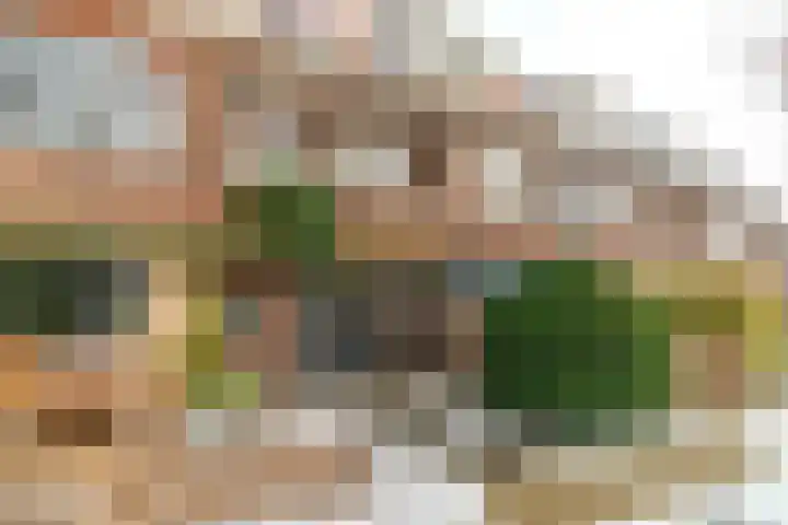 Westplantsoen 88 Delft thumbnail 7