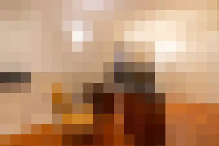 Westplein 78 Rotterdam thumbnail 37
