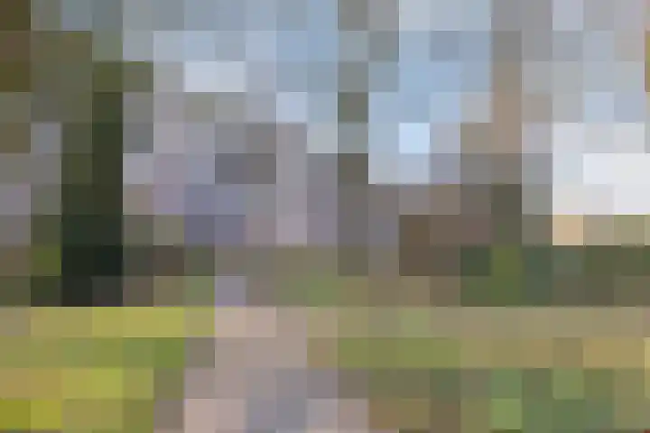 Westpoint 179 Tilburg thumbnail 25