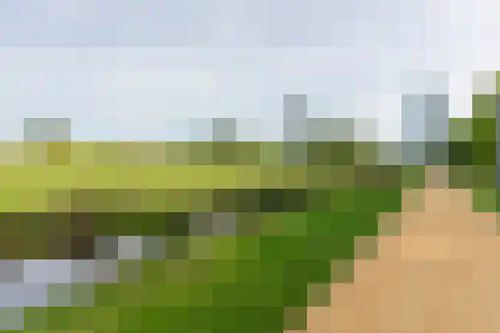 Westpoint 61 Tilburg thumbnail 39