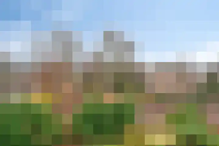 Westrak 64 Harderwijk thumbnail 27