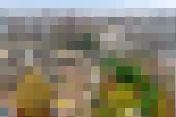 Westrak 64 Harderwijk thumbnail 28