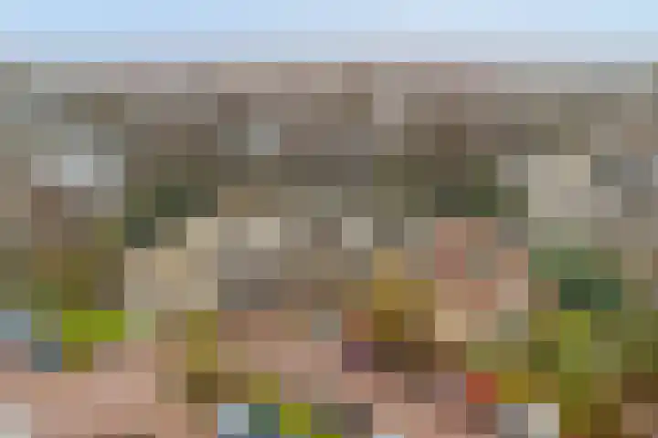 Westrak 64 Harderwijk thumbnail 29