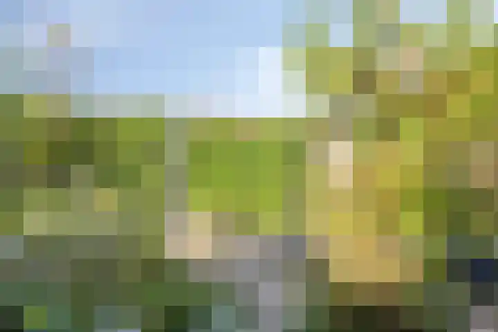 Westrupstraat 22 Assen thumbnail 30