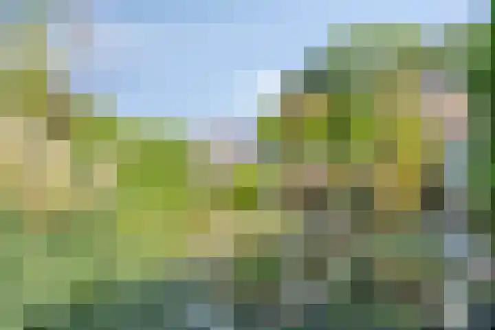Westrupstraat 22 Assen thumbnail 32