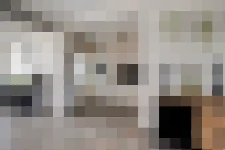 Westrupstraat 4 Assen thumbnail 9