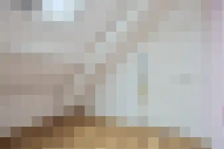 Westsingel 30 Borssele thumbnail 17