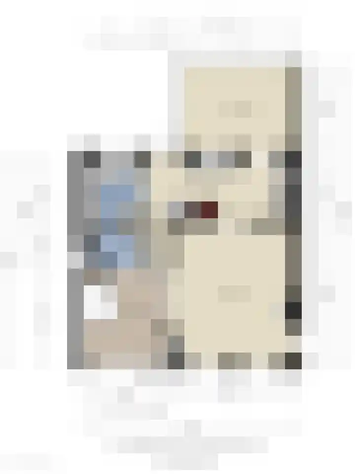 Westsingel 30 Borssele thumbnail 22