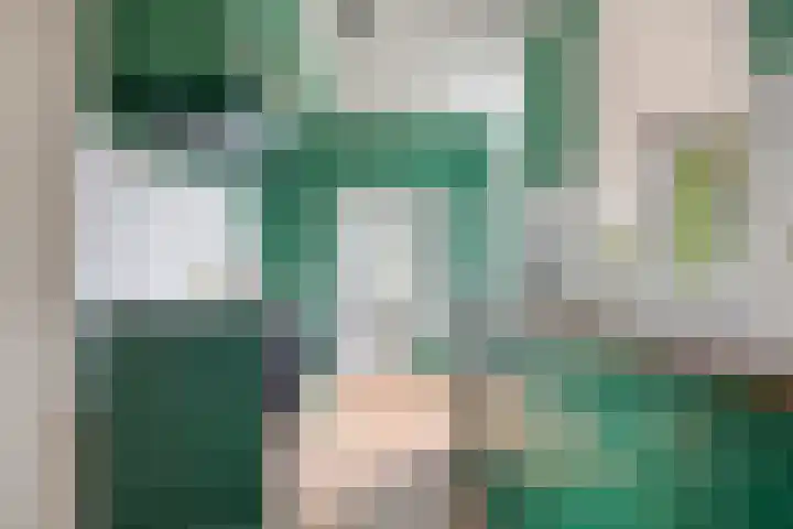Westsingel 30 Borssele thumbnail 6