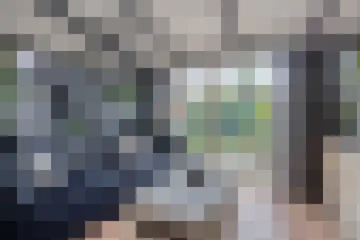 Westsingel 30 Borssele thumbnail 7