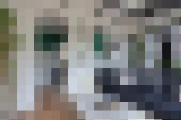 Westsingel 30 Borssele thumbnail 8