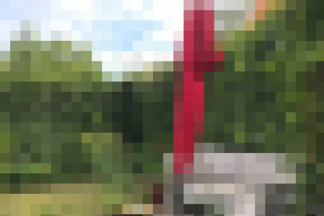 Weststraat 10 Den Burg thumbnail 12