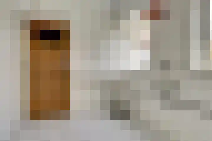 Weststraat 23 Nieuwerkerk thumbnail 14