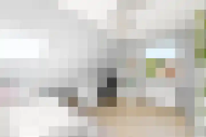 Weststraat 39 b Philippine thumbnail 30