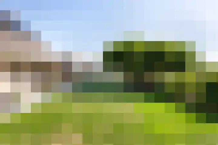 Weststraat 39 b Philippine thumbnail 47