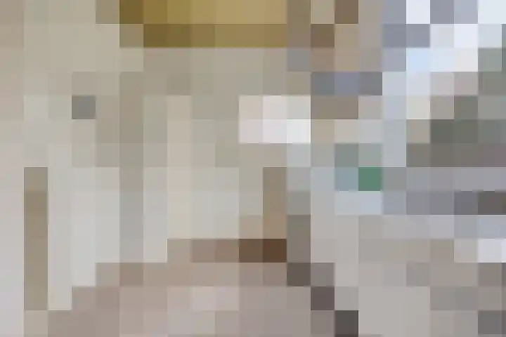 Weststraat 9 Burgh-Haamstede thumbnail 10