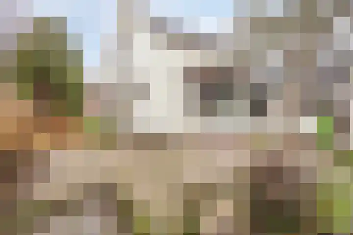 Weststraat 9 Burgh-Haamstede thumbnail 26