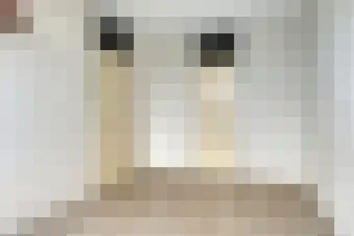 Westvest 105 Delft thumbnail 23