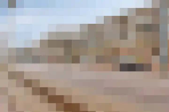 Westvest 105 Delft thumbnail 7