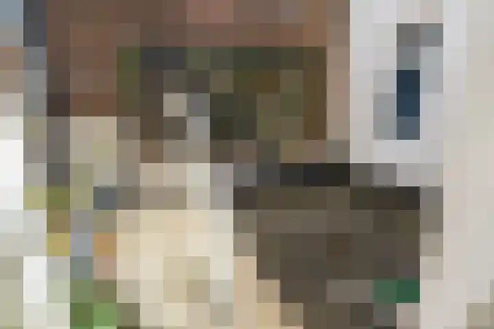 Westvest 2 C Schiedam thumbnail 17