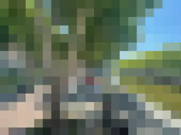 Westvest 231 Schiedam thumbnail 9