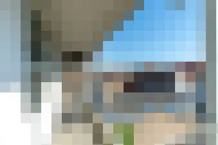 Westvest 239 Delft thumbnail 6