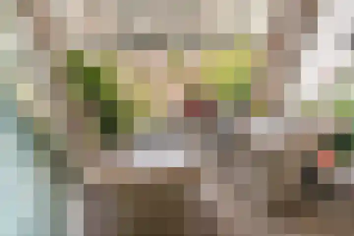 Westvest 249 Delft thumbnail 11