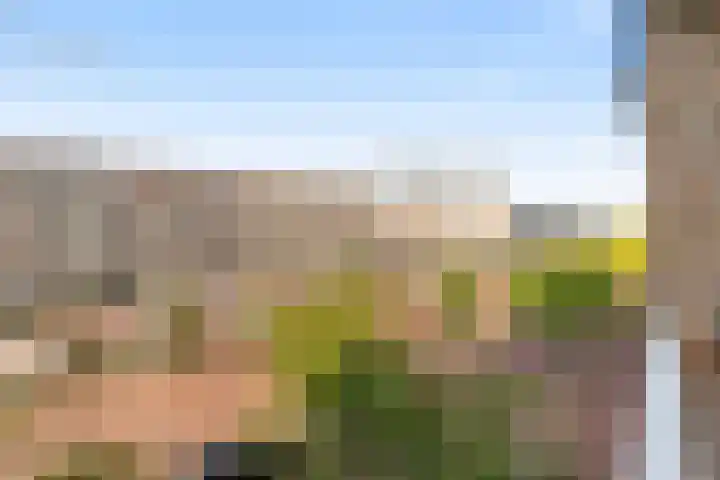 Westvest 249 Delft thumbnail 12