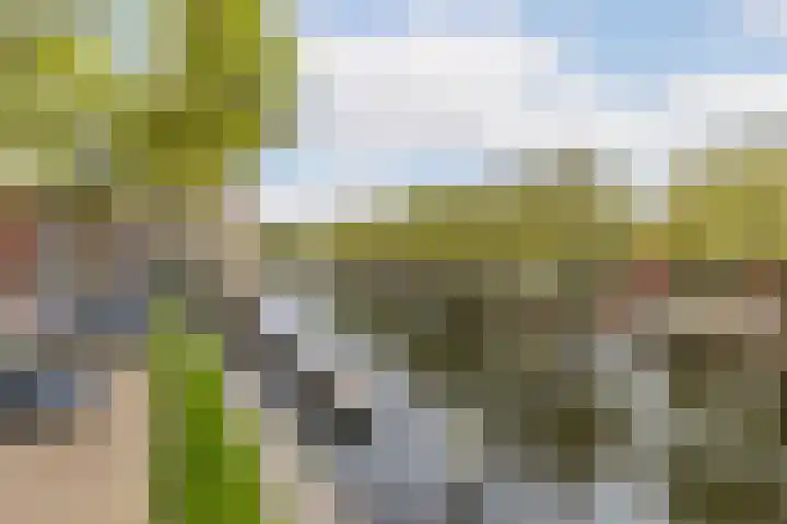 Westvest 277 Schiedam thumbnail 33