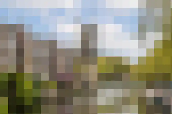 Westvest 277 Schiedam thumbnail 38