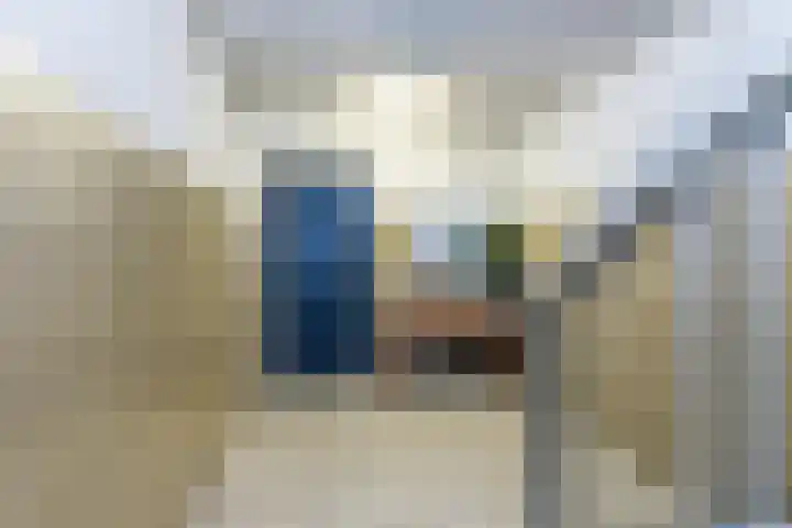 Westvest 277 Schiedam thumbnail 7
