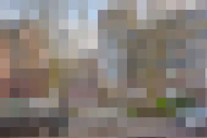 Westvest 31 Schiedam thumbnail 4