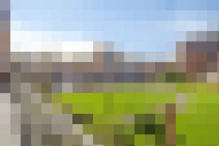 Westvest 31 Schiedam thumbnail 8