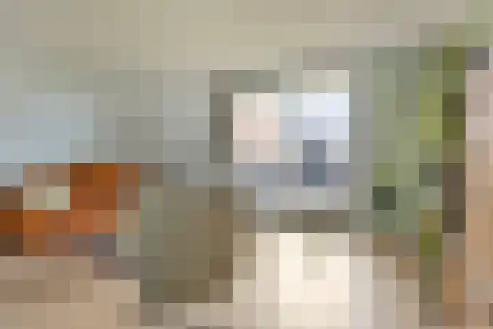 Westvest 45 Schiedam thumbnail 4