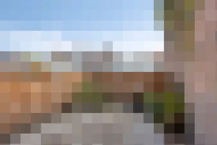 Westwal 14 's-Hertogenbosch thumbnail 24