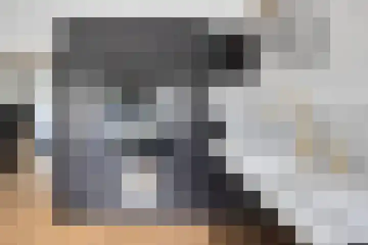 Westwal 2 Goes thumbnail 14
