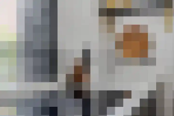 Westwal 2 Goes thumbnail 15